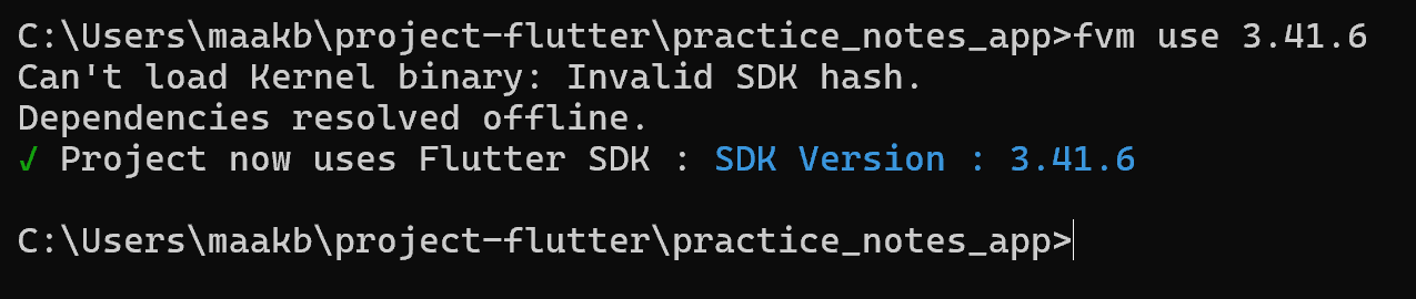 Initialize project with fvm use command